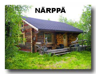 Nrpp