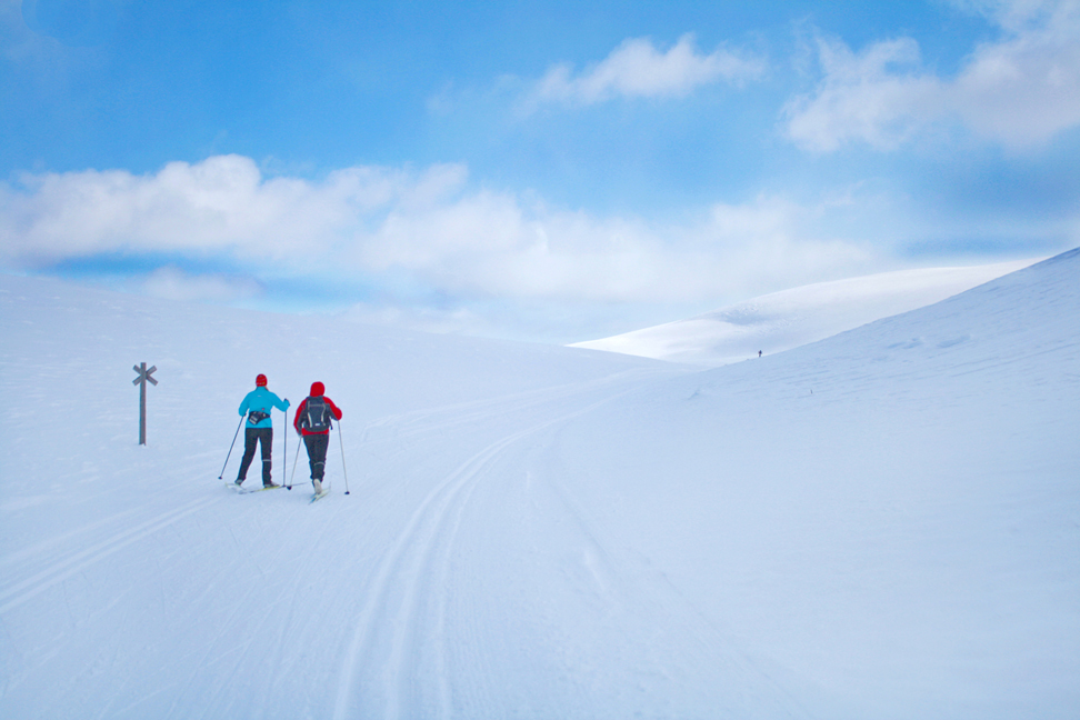 Skiing