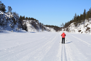 Skiing