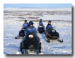 Snowmobile safari