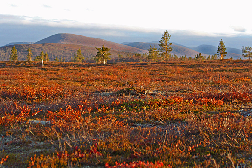 Autumn colors