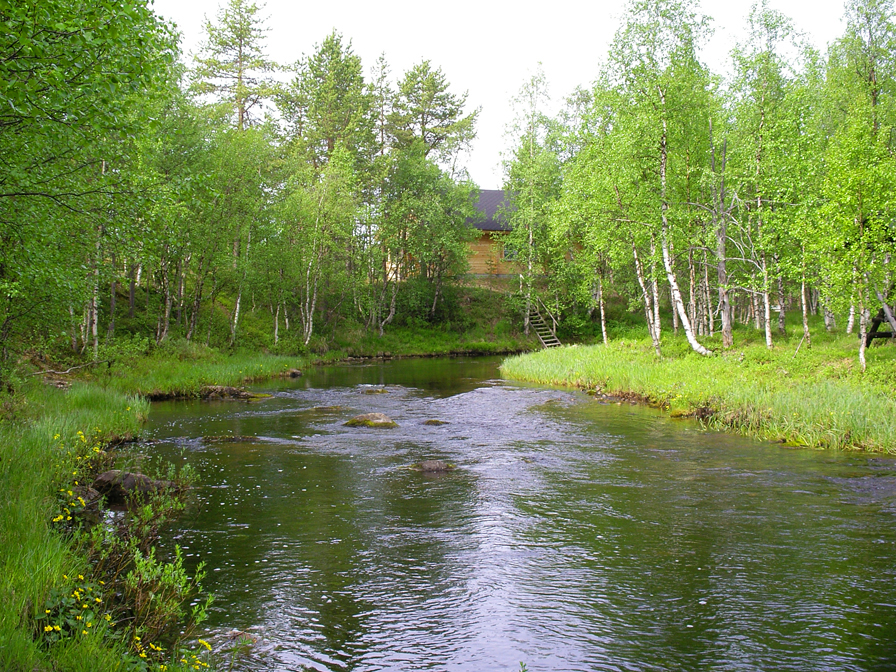 Cottage