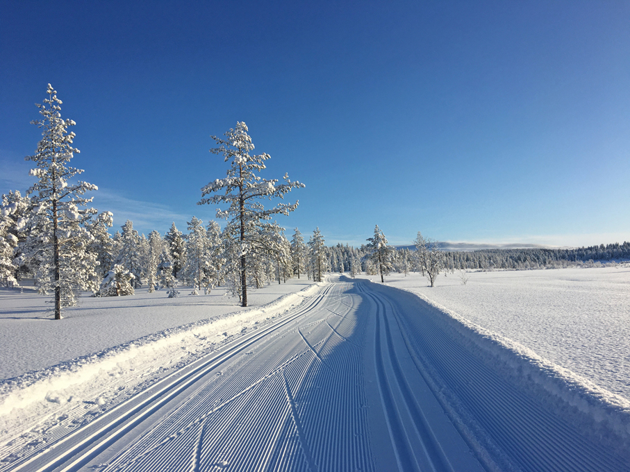 Skiing