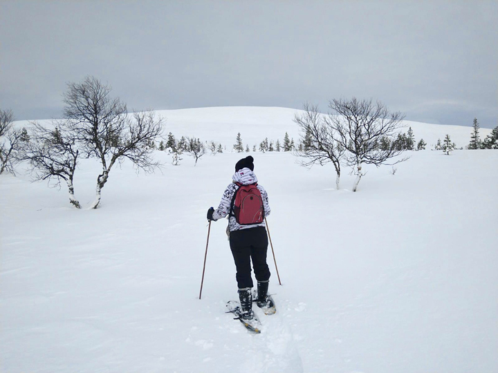 Snow shoeing